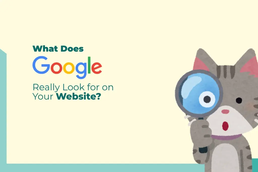 What Does Google Really Look for on Your Website?